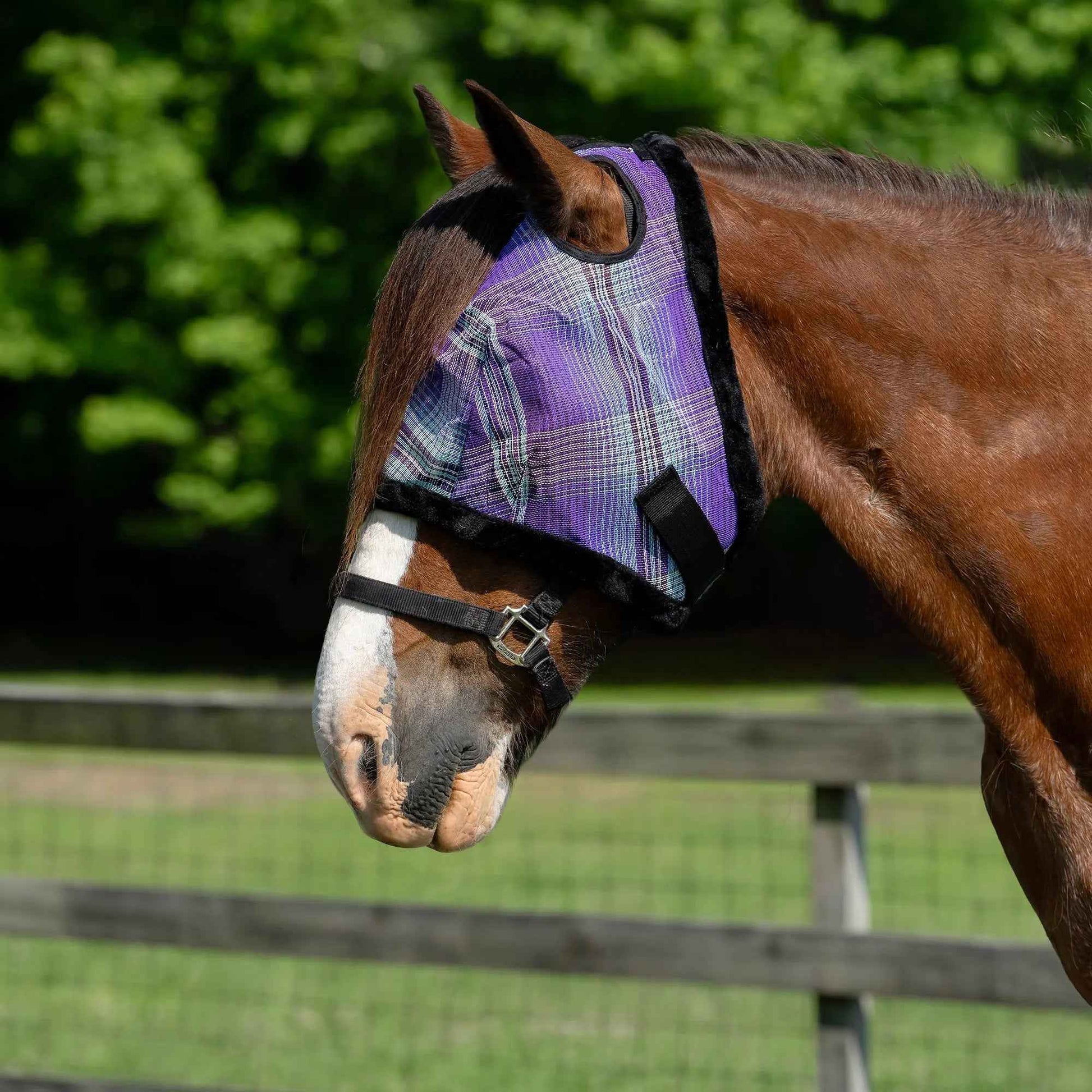 Fleece Trim Draft Horse Fly Mask