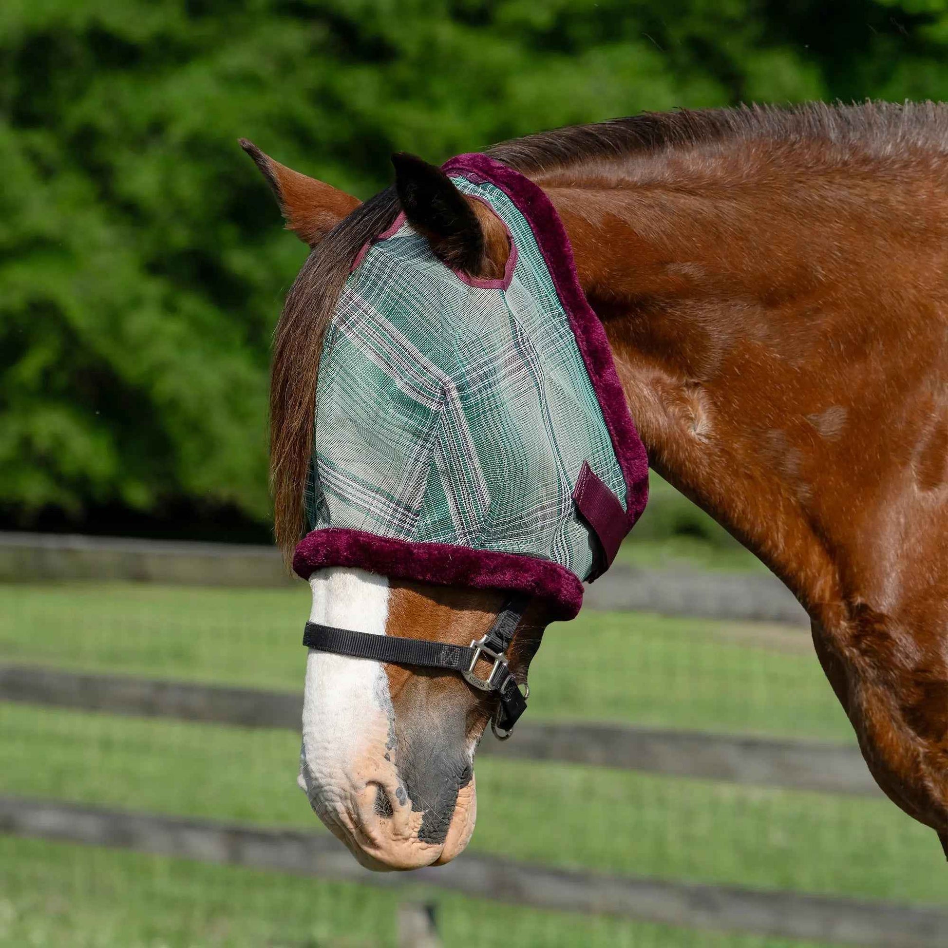 Fleece Trim Draft Horse Fly Mask