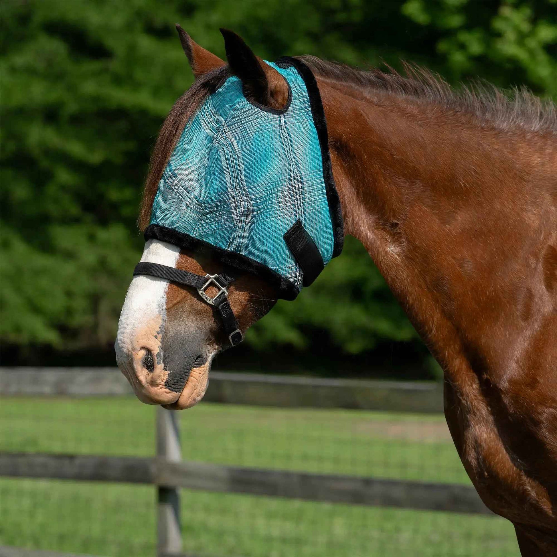 Fleece Trim Draft Horse Fly Mask