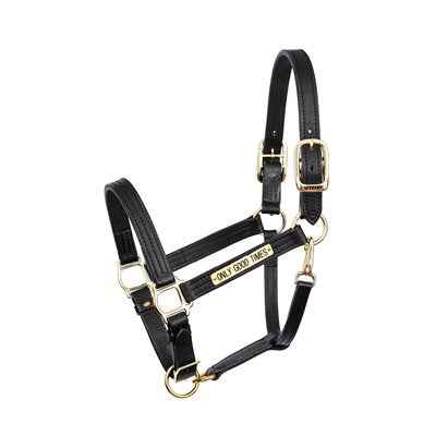Leather Draft Turnout Halter with Engraved Nameplate