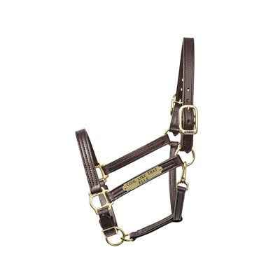Leather Draft Turnout Halter with Engraved Nameplate