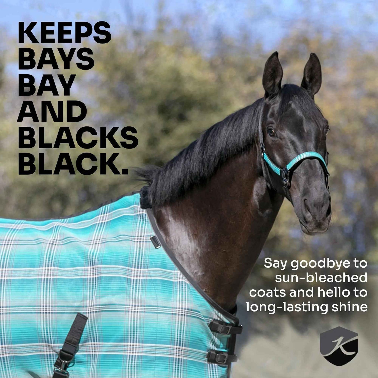 Draft Horse Fly Sheet - 73% UV Protection & Breathable Comfort