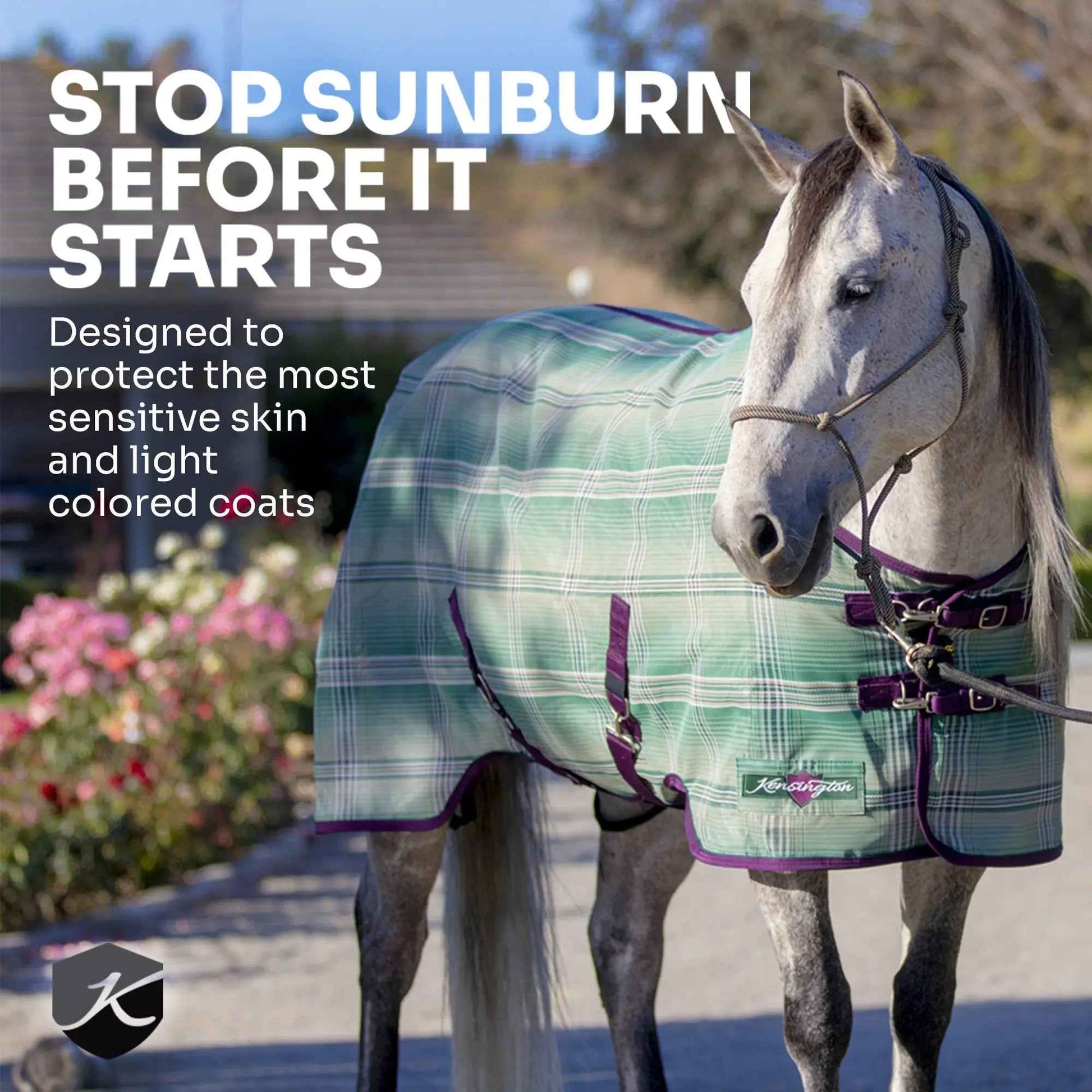 Draft Horse Fly Sheet - 73% UV Protection & Breathable Comfort