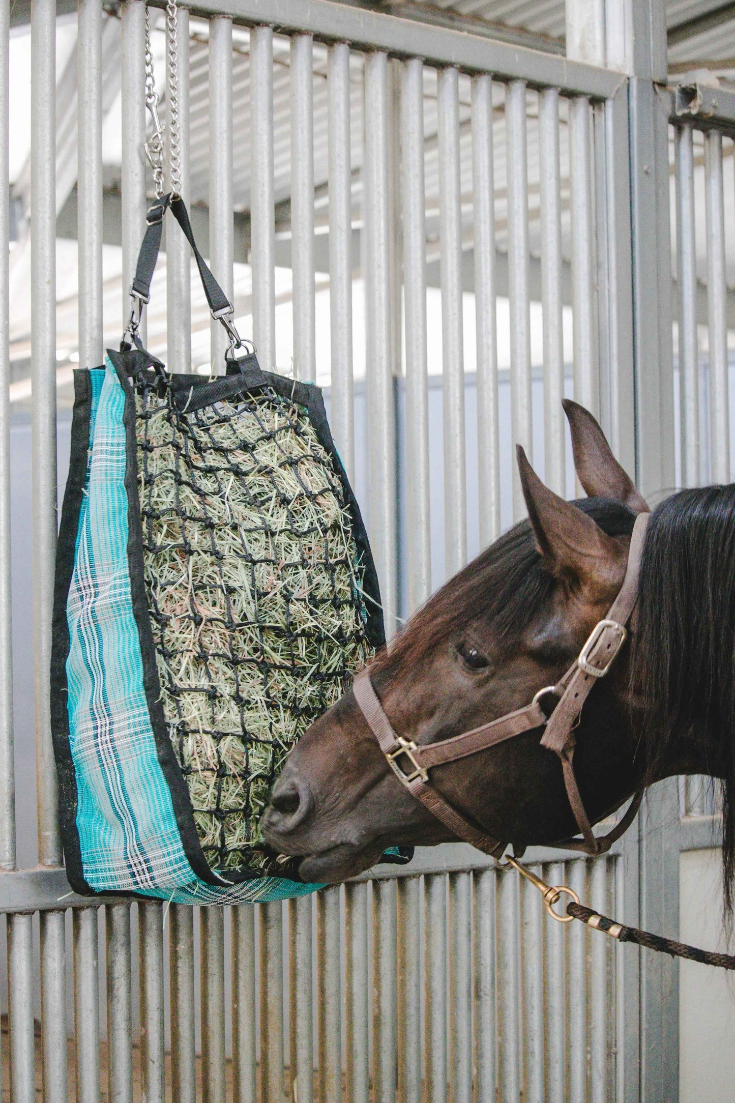 Slow Feed Hay Bag - 2 Flake Capacity