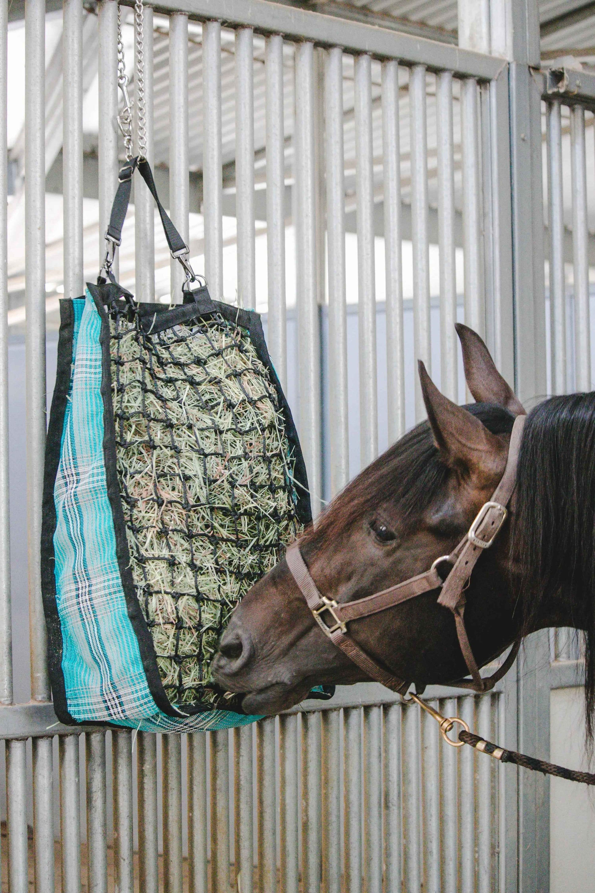 Slow Feed Hay Bag - 2 Flake Capacity