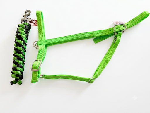 Parker Draft Horse Halter