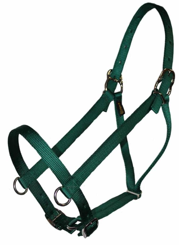 Parker Draft Horse Halter