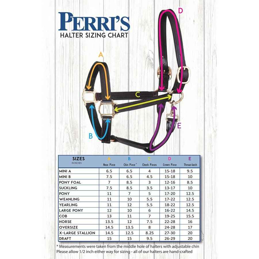 Draft Horse Safety Halter - Your Essential Breakaway Solution