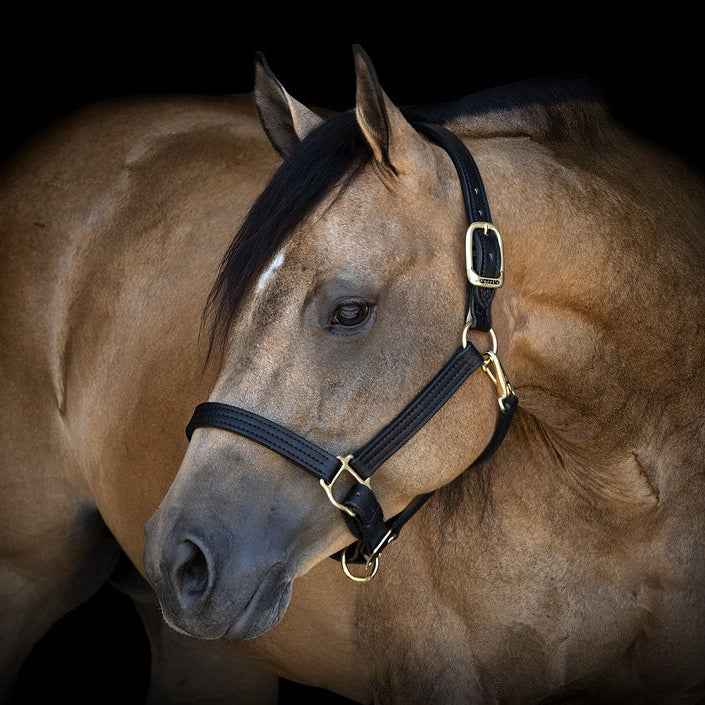 Handcrafted Leather Turnout Halter