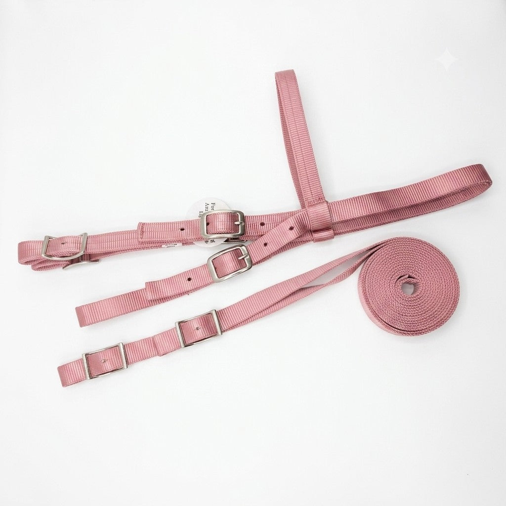 Draft Horse Trail Bridle with Conway Buckles