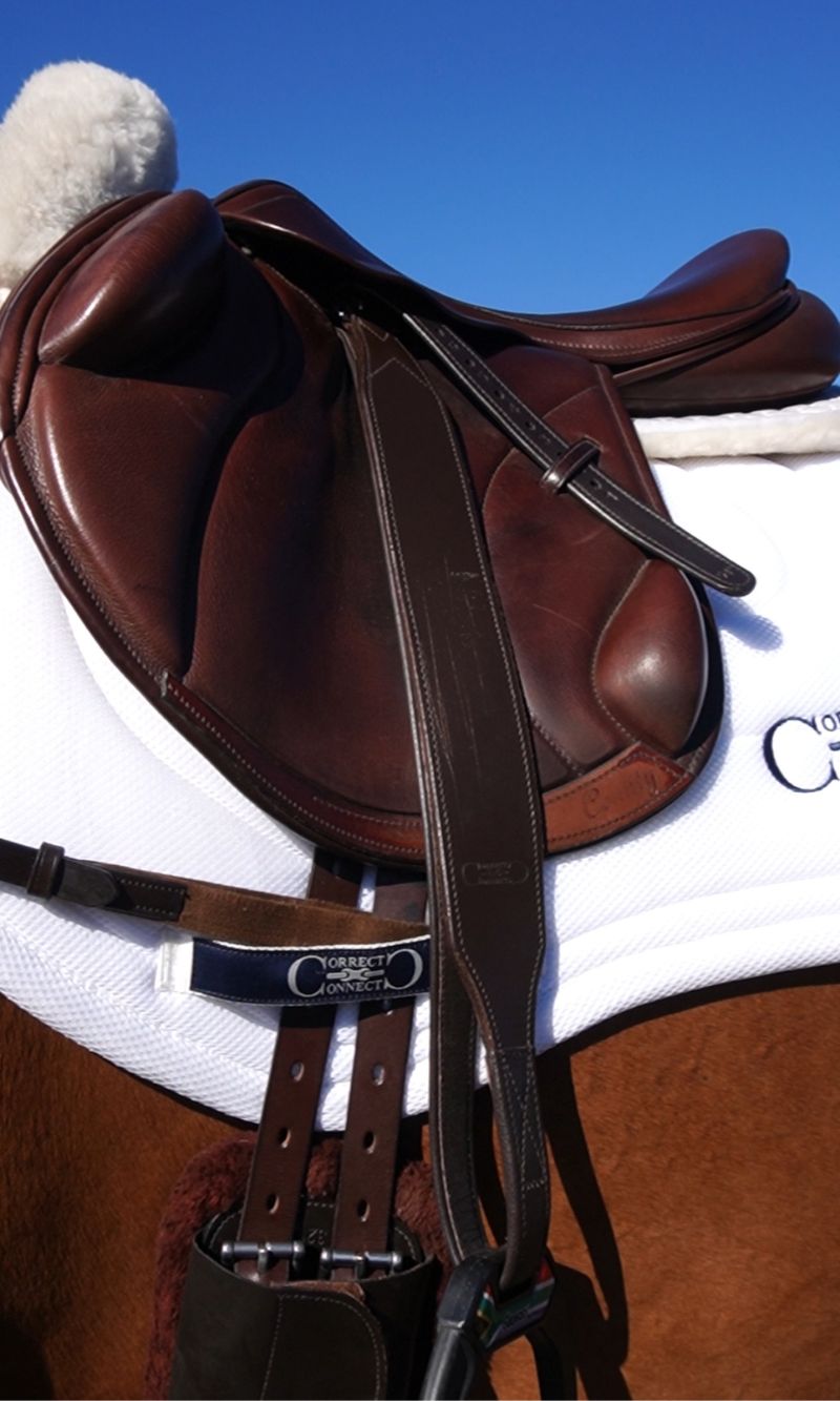 Stirrup Leathers with Removable Keeper