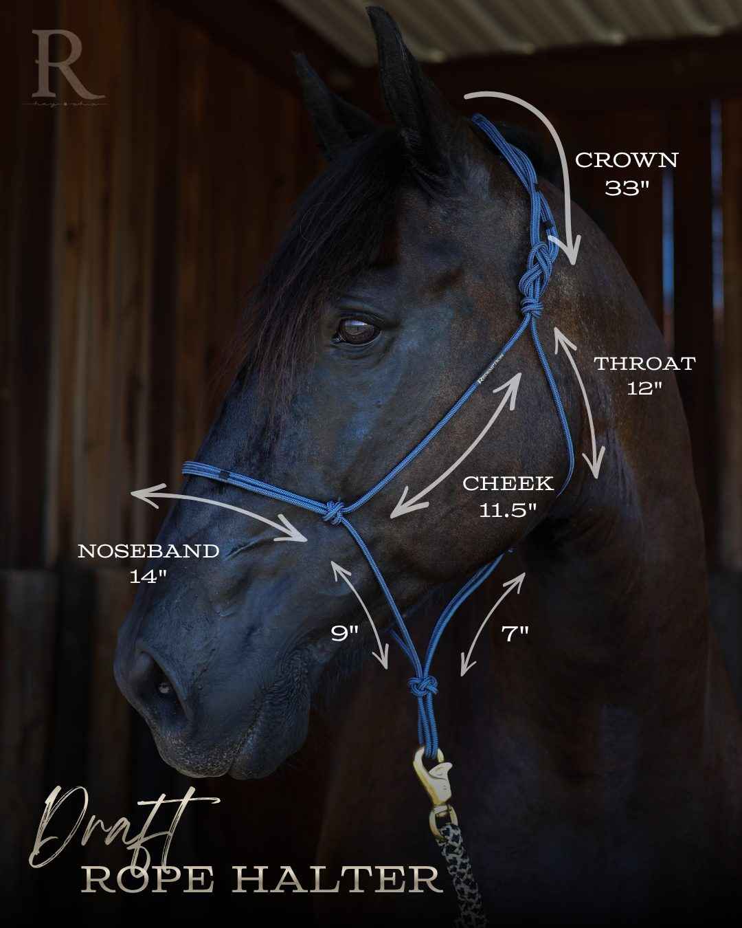 Draft Horse Rope Halter & Lead Set