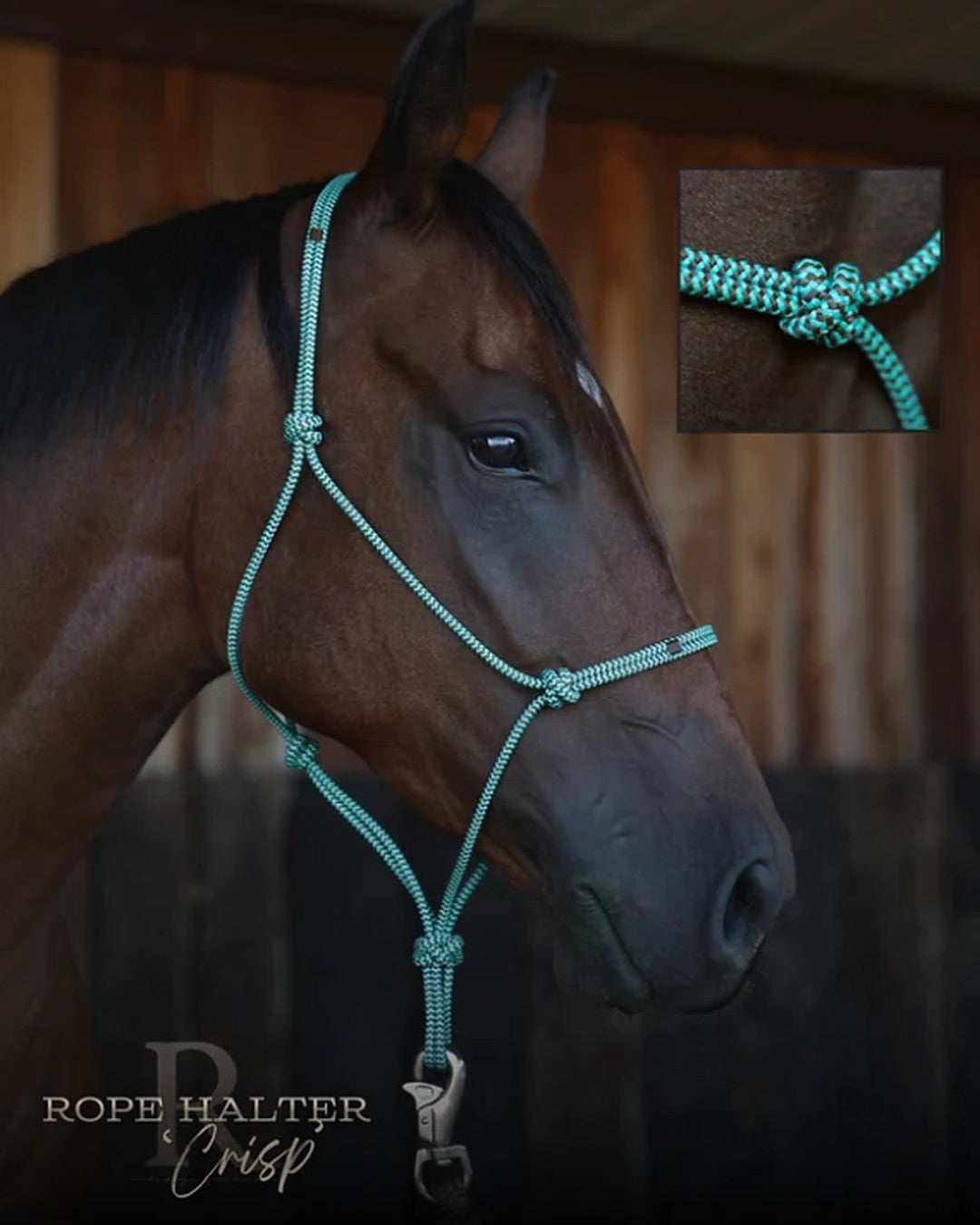 Crisp teal and brown rope halter by HayChix, shown on a bay horse