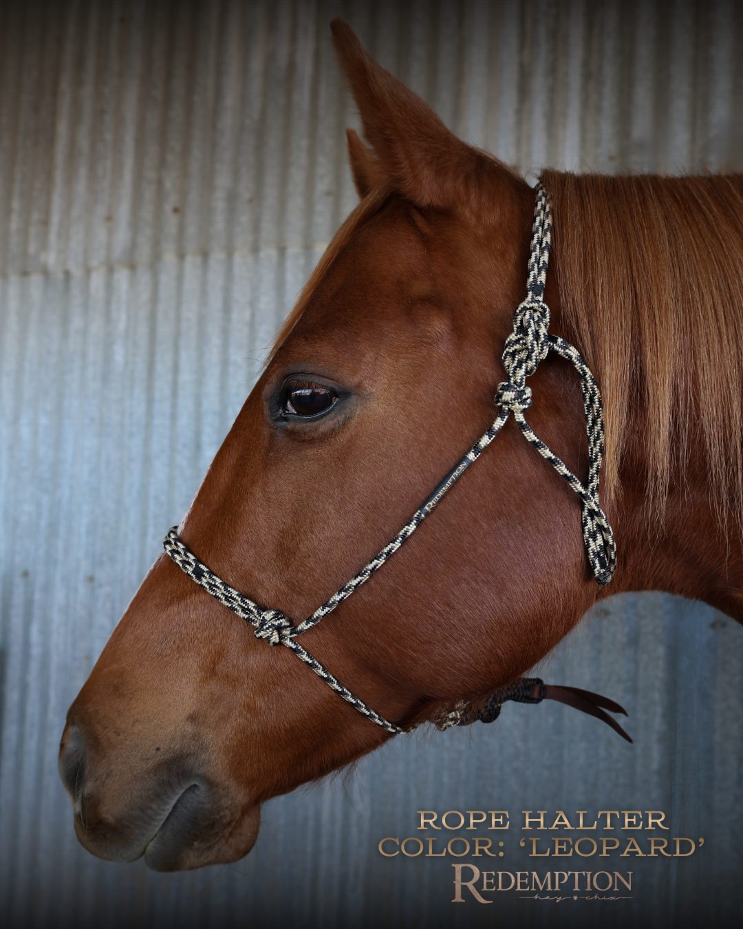 Leopard rope halter by HayChix, shown on a chestnut horse
