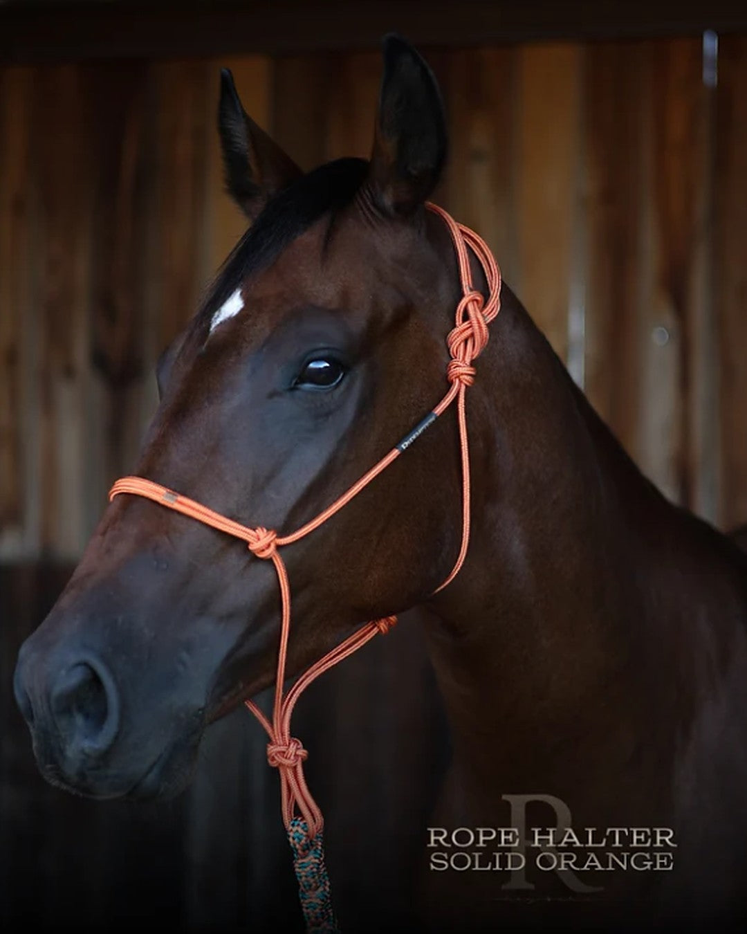 Orange rope halter by HayChix, shown on a bay horse