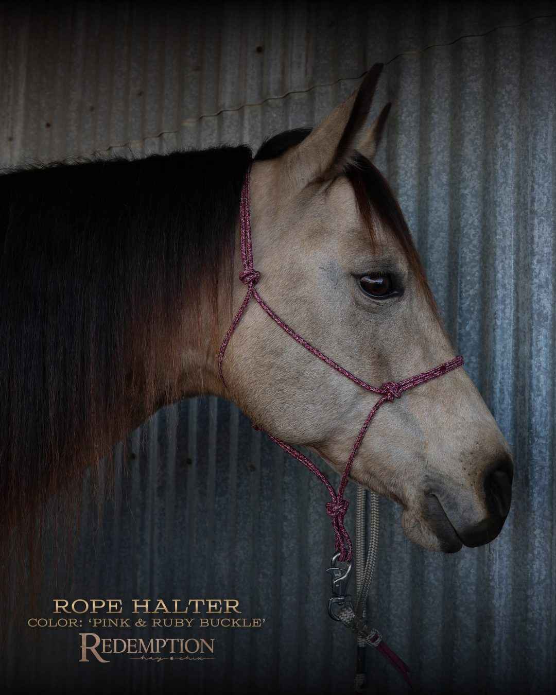 Draft Horse Rope Halter & Lead Set