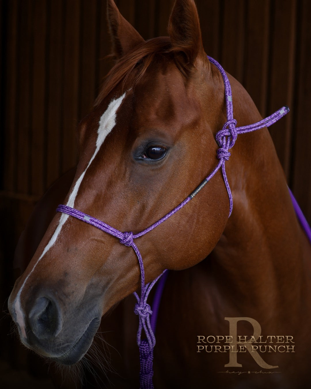 Purple Punch rope halter by HayChix, shown on a chestnut horse