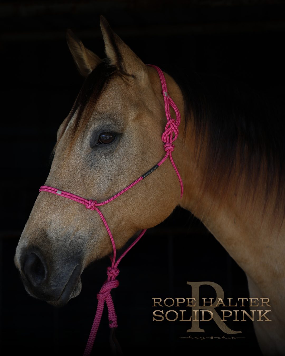 Hot Pink rope halter by HayChix, shown on a horse
