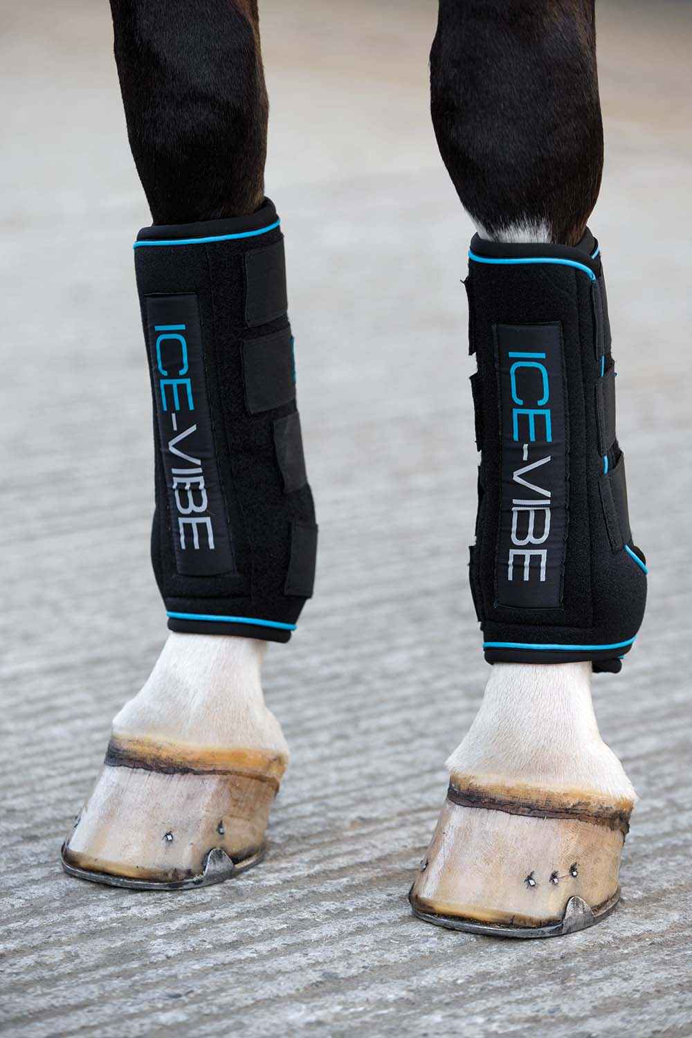 Ice Vibe Therapy Boots for Horses - 2 Pack