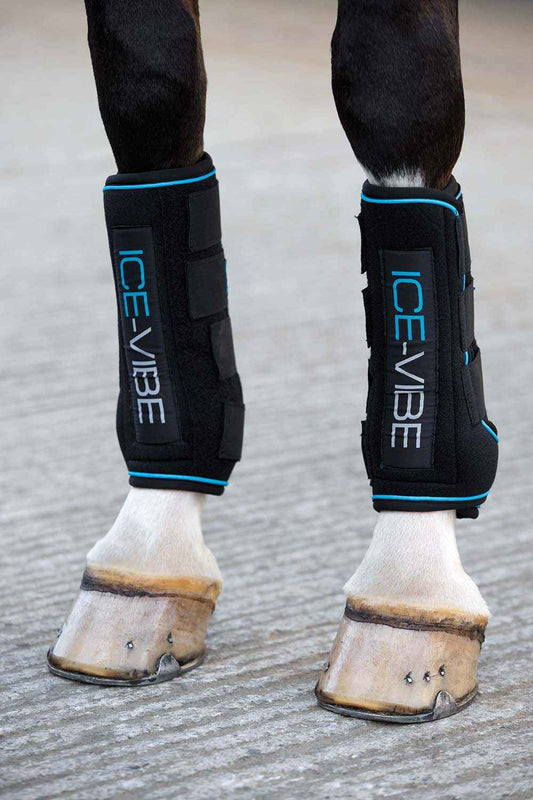 Ice Vibe Therapy Boots for Horses - 2 Pack