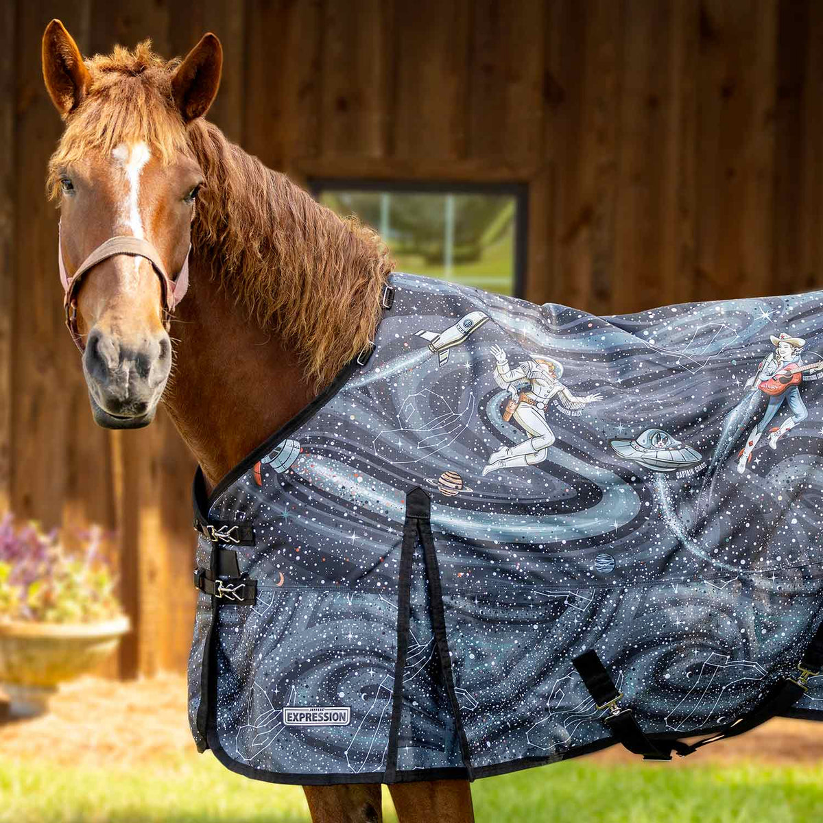 Draft horse turnout blanket in Cosmic Cowgirl, side view