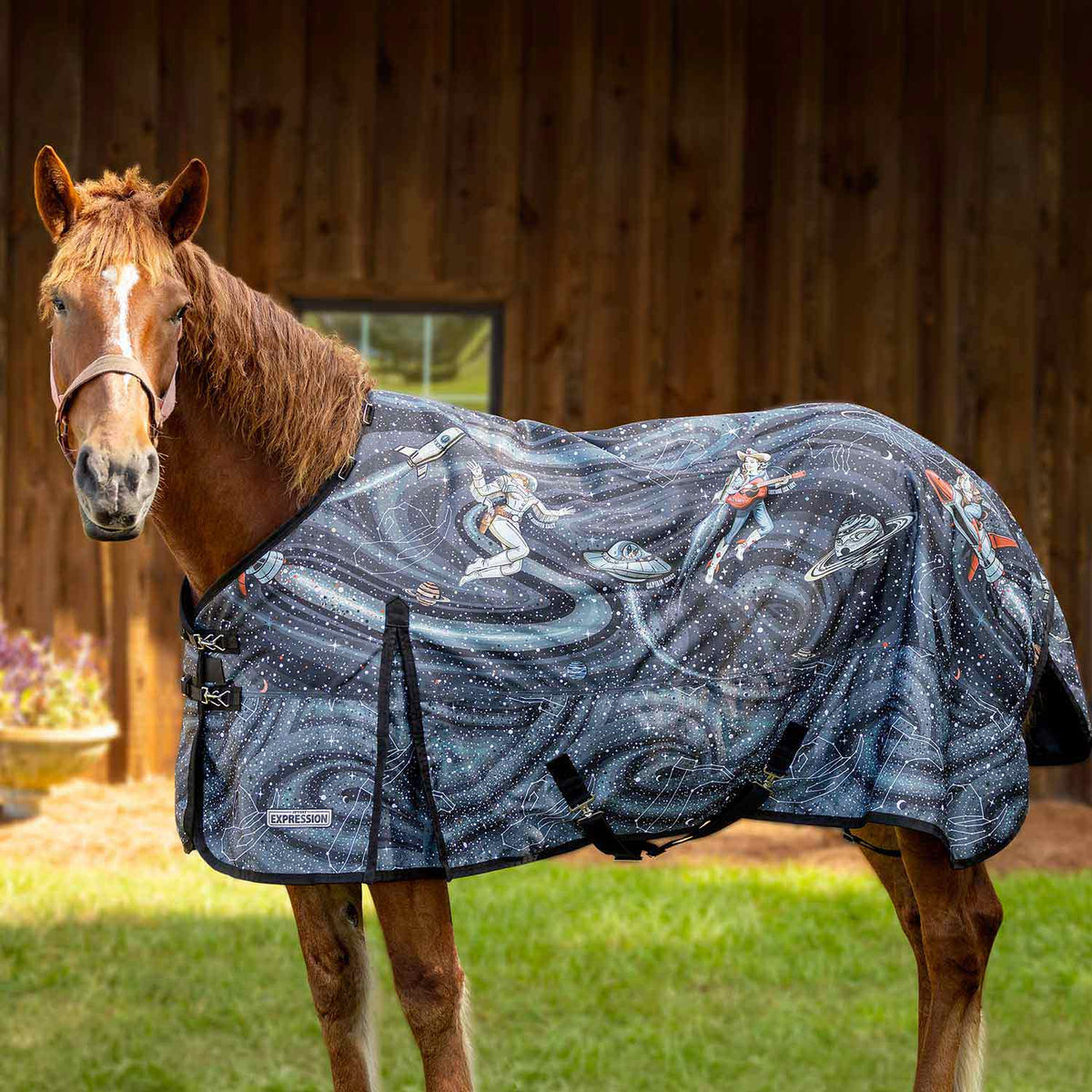 Draft horse turnout blanket in Cosmic Cowgirl