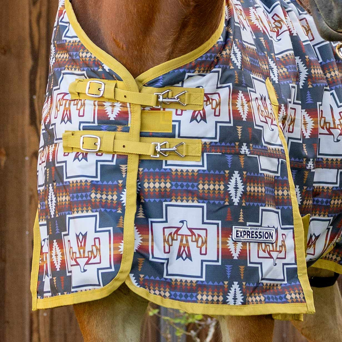 Thunderbird blanket detail
