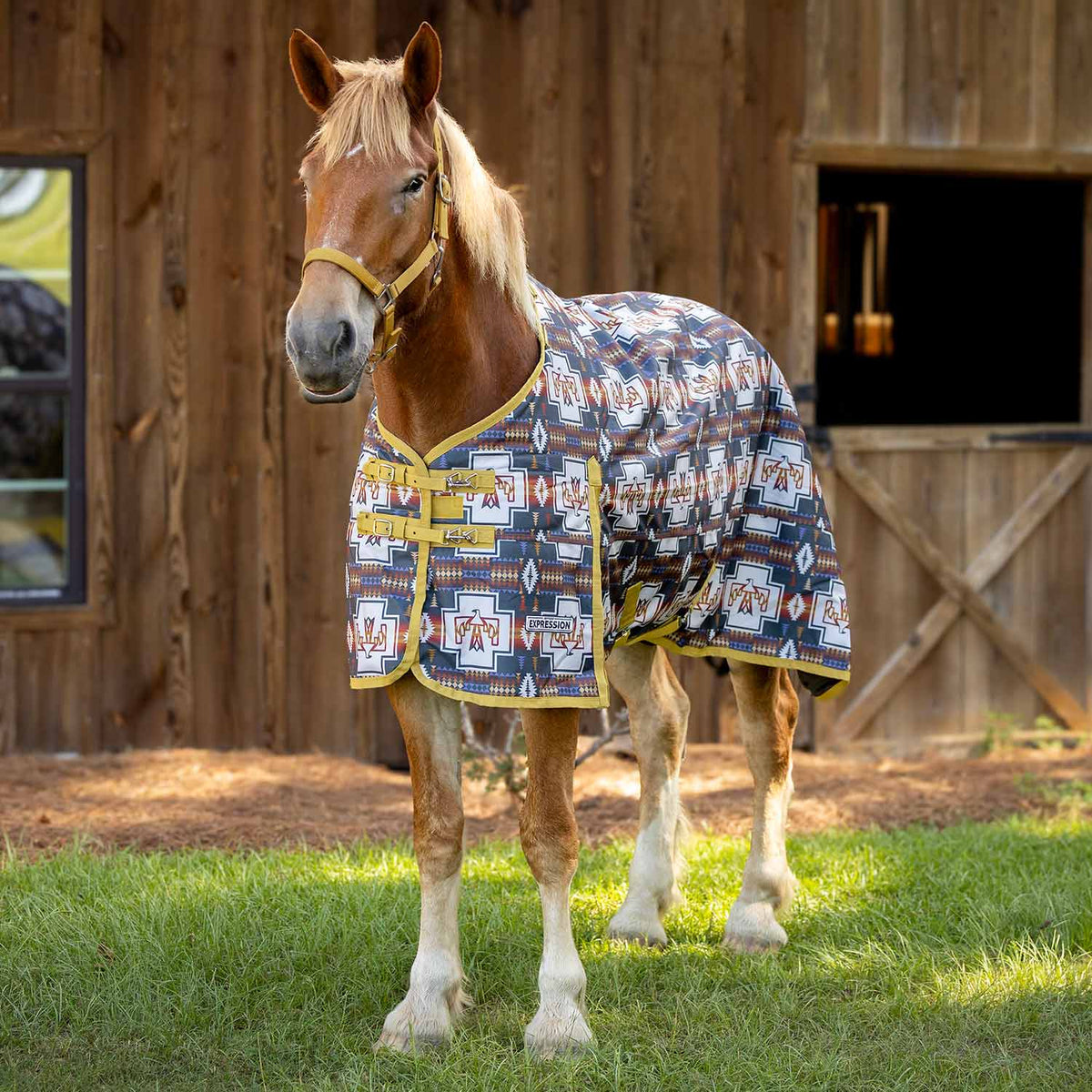 Draft horse turnout blanket in Thunderbird