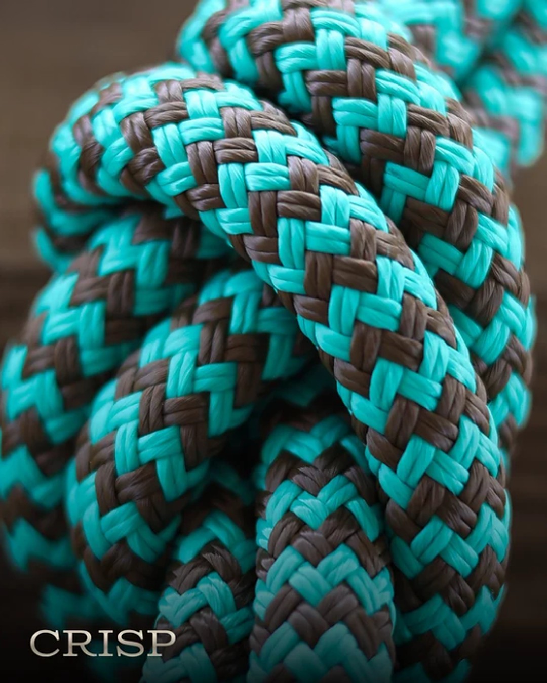 Crisp teal and brown braided lead rope by HayChix