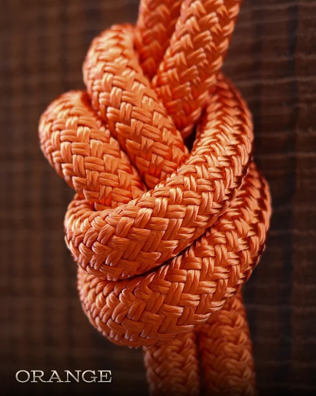 Orange braided lead rope by HayChix