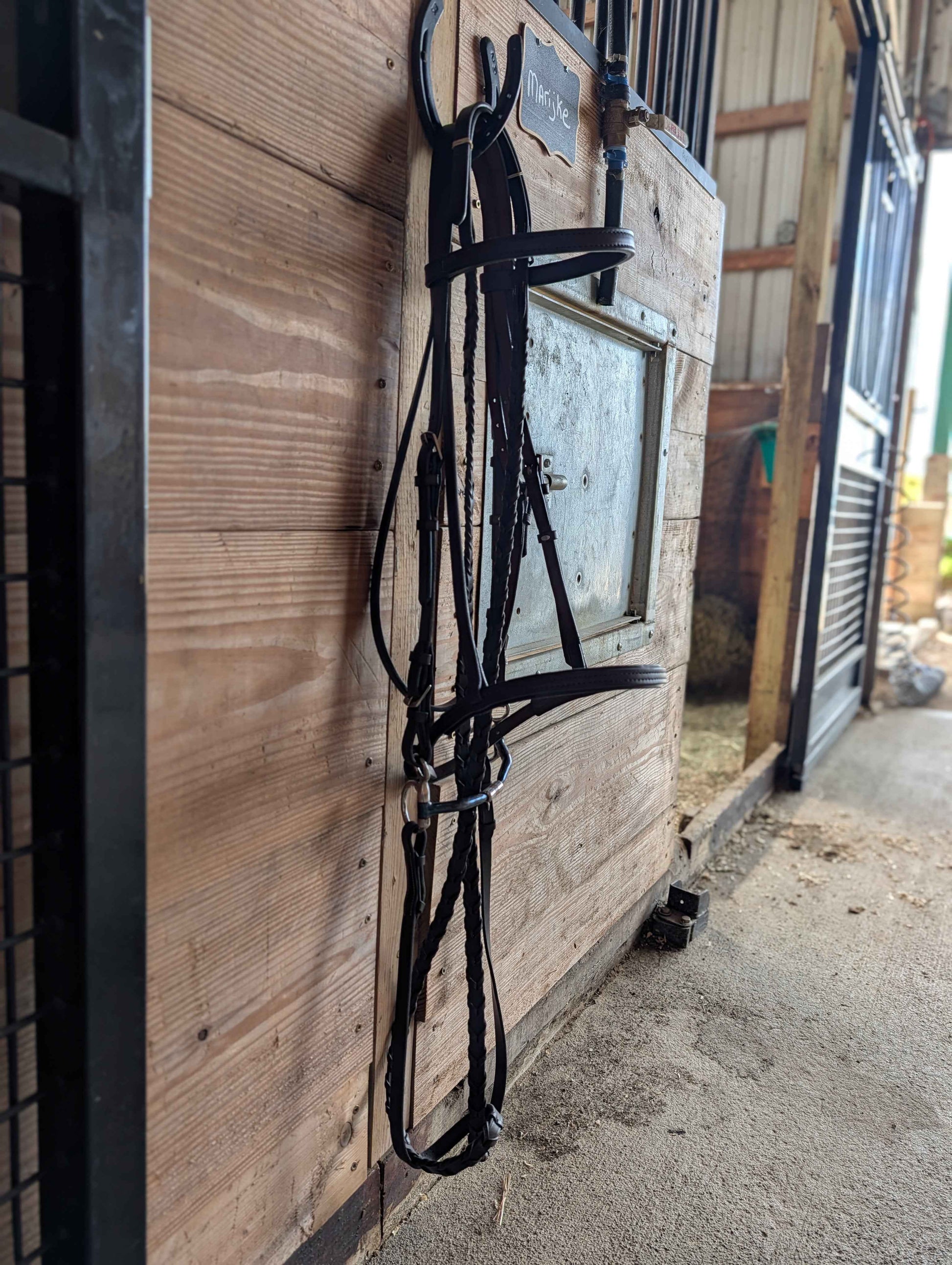 Premium Havana Leather Draft Bridle