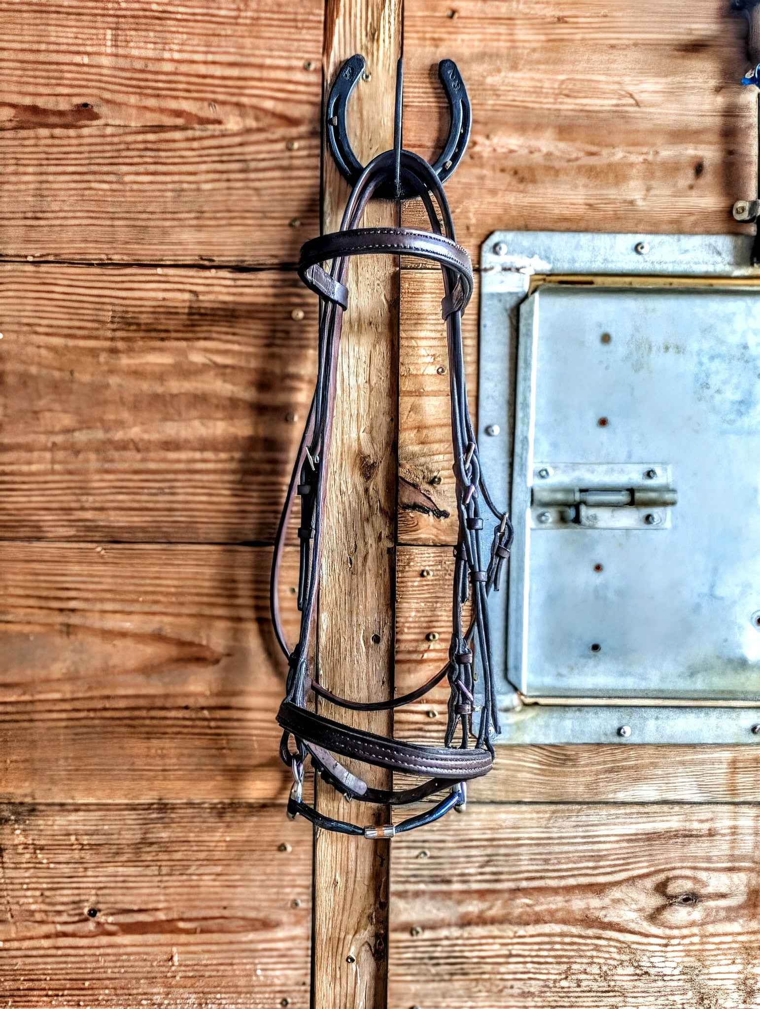 Premium Havana Leather Draft Bridle